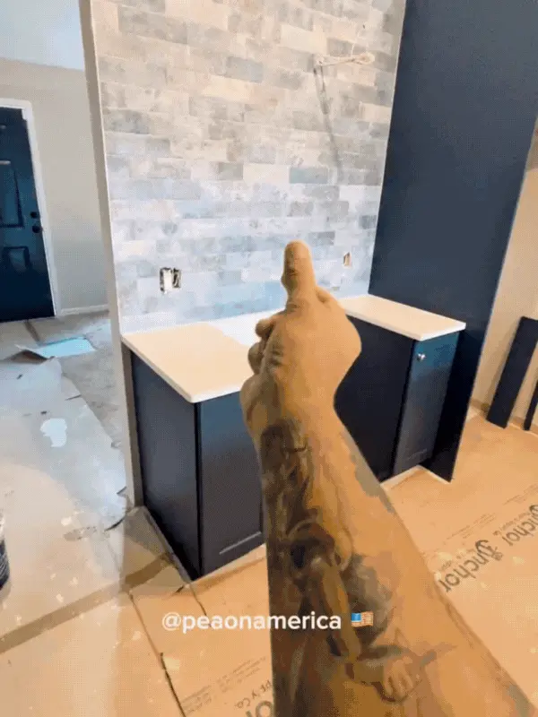 Design sem nome (99)